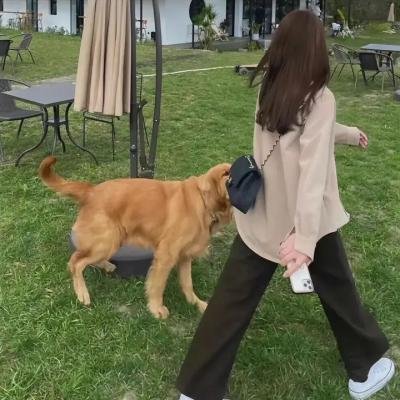 穿高跟鞋的死神